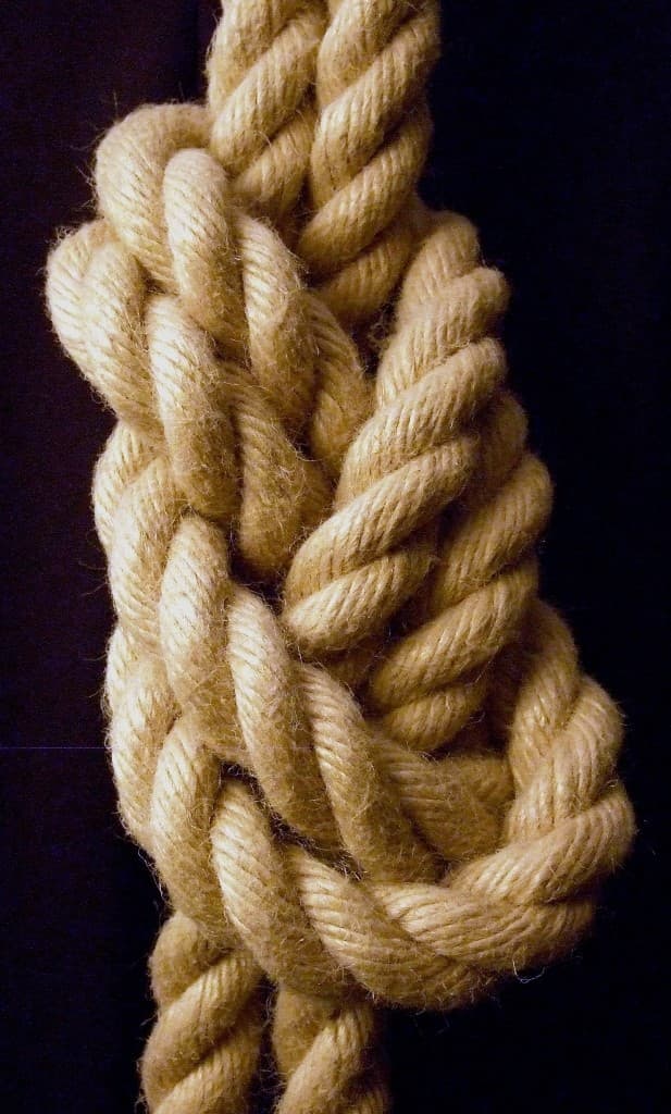 Die Knotenschnur